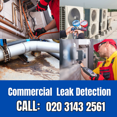 Commercial Leak Detection Services in Kenley | Kenley Leak Detection